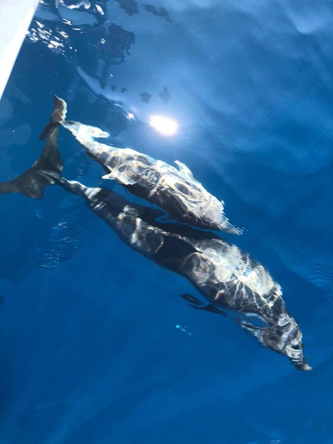 サン・ジョルジョ・イオーニコ La Piazzaヴィラ エクステリア 写真